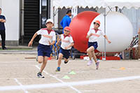 【大浜小学校】